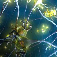 Cladribine tablets’ potential role as a key example of selective immune reconstitution therapy in multiple sclerosis Cladribine tablets’ potential role as a key example of selective immune reconstitution therapy in multiple sclerosis