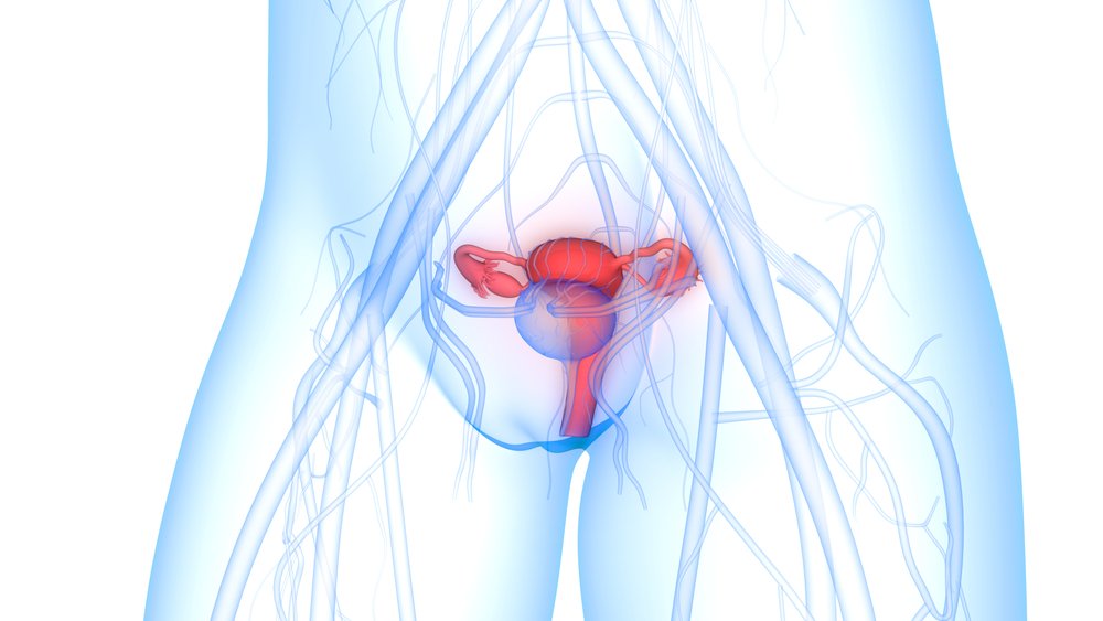 Симптомы рака матки у женщин по стадиям