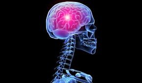 Рак головного мозга: причины развития, признаки, диагностика и лечение