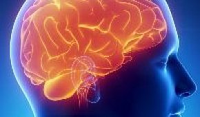 Глиома головного мозга: симптомы и лечение