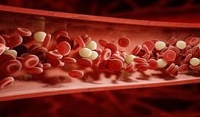 Повышение лейкоцитов в крови после химиотерапии