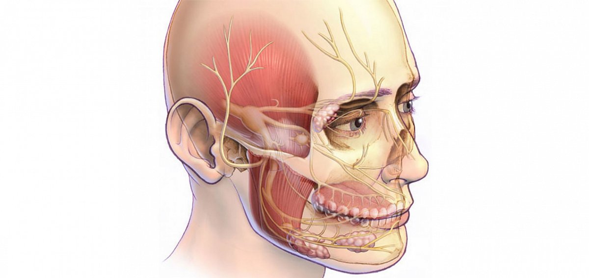 Исследование лицевого нерва