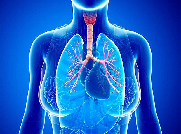 Неотложная помощь и интенсивная терапия бронхиальной астмы ба у взрослых итоговое тестирование нмо