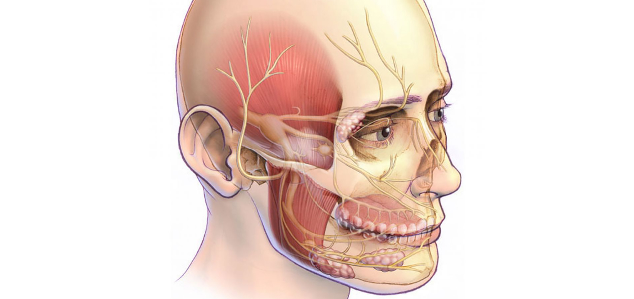 Лицевой нерв фото. Воспаление тройничного нерва. Тройничный нерв на лице. Воспаление тройничного нерва на лице симптомы.