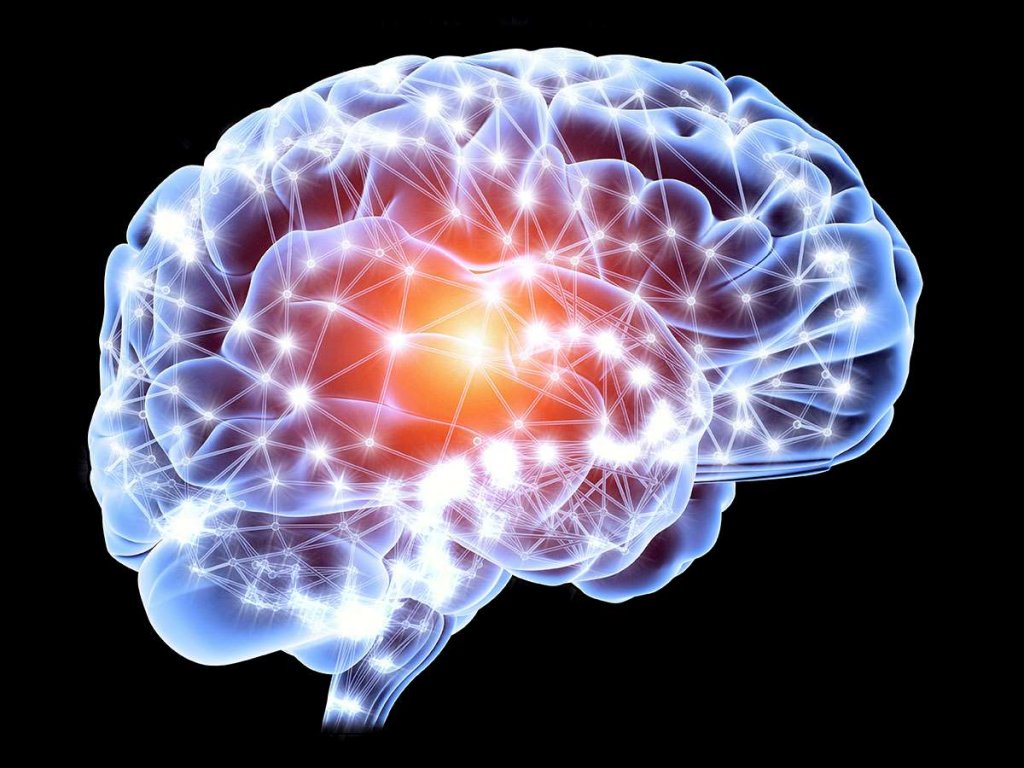 активные участки мозга в неврологии